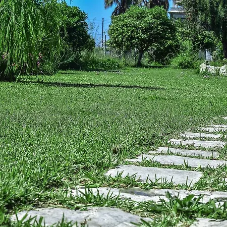 Mirsini