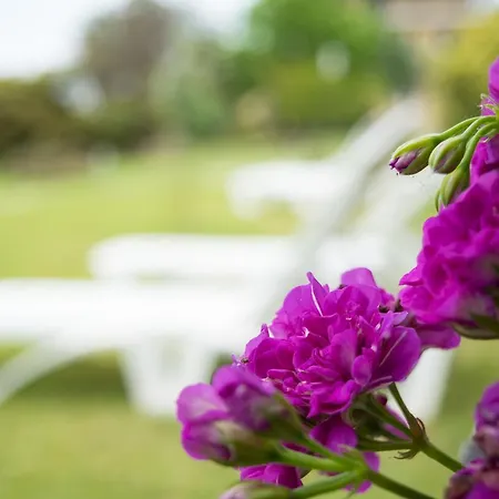 Διαμέρισμα Mirsini Άγιος Γεώργιος