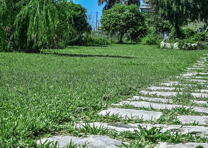 Mirsini